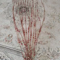 پرده مهره ای