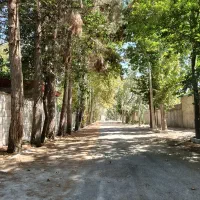 ۴۰۰ هکتار زمین استان البرز