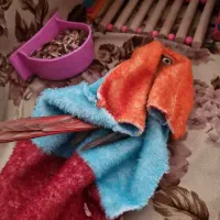 گرینچیک|پرنده|تهران, حصار بوعلی|دیوار