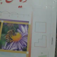 کلاس خصوصی ریاضی پایه دوم سوم چهارم