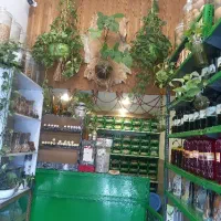 استخدام همکار خانم