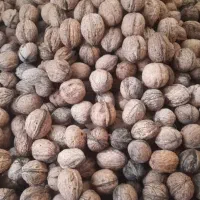 گردو تازه (روغن دار)|خوردنی و آشامیدنی|کرج, شهرک بنفشه|دیوار