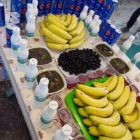 تور زیارتی کربلا کاروان بی بی رقیه|تور و چارتر|شیراز, کوشک میدان|دیوار