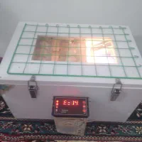 دستگاه جوجه کشی