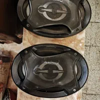 باند پایونر