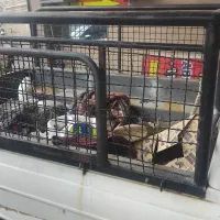 باربند باکفی بفروش میرسد|قطعات یدکی و لوازم جانبی|ماهدشت, |دیوار