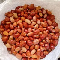 سنجد تازه فروش یکجا|حراج|خرمدره, |دیوار