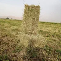 یونجه پرس