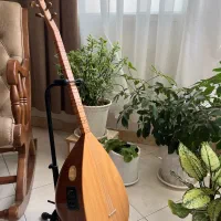 ساز استانبولی دسته کوتاه حرفه ای اکو لایزردار