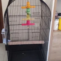 قفس پرنده|لوازم جانبی حیوانات|پردیس, فاز ۴|دیوار