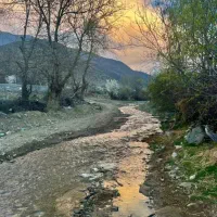 450متری-در-بهشت-مازندران