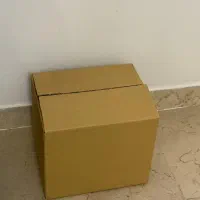 کارتن سه لا