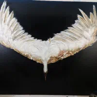 سفارش نقاشی یک هدیه ای ماندگار و منحصربه فرد  ع