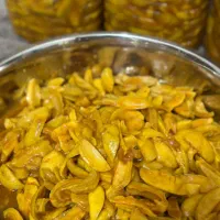 سفارش ترشی انبه پذیرفته می شود