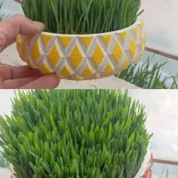 جای سبزه عید