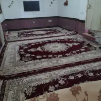 50-متری-پاستور