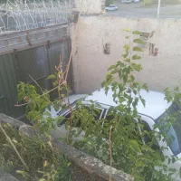 خونه اجاره روستای اطراف با غبهادران|اجارهٔ خانه و ویلا|اصفهان, دارک|دیوار