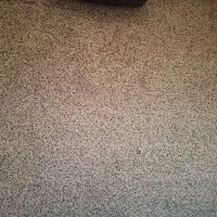 موکت پرز بلند پالاز