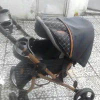 کالسکه دلیجان مدل بنیتا