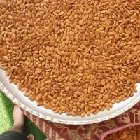 بادام شاهرودی|خوردنی و آشامیدنی|کیار, |دیوار
