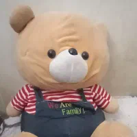 خرس وگیتار وغیره