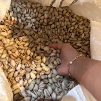 فروش پسته احمدآقایی دهن‌باز  تازه برداشت|خوردنی و آشامیدنی|تهران, امیریه|دیوار