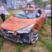 ولستر تصادفی مدل ۲۰۱۳ منطقه