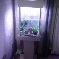 آکواریوم کامل با وسایل 2تومن|ماهی|قرچک, زیبا شهر|دیوار