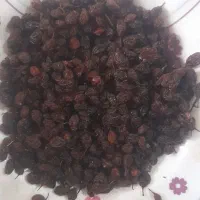 فروش کشمش