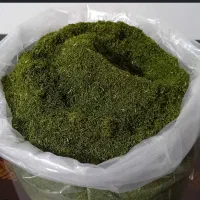 شویدو نعناخشک ارگانیک فراهان