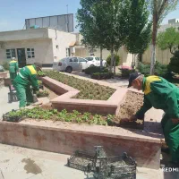 متخصص هرس درختان میوه و درختان خیابان|خدمات باغبانی و درختکاری|اسلامشهر, صادقیه|دیوار