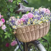 نیروی خانم جهت کار منزل