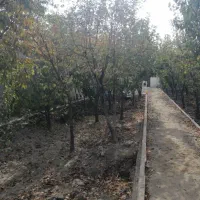 سرایدار  شهریار