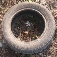 ۶ عدد لاستیک پراید