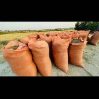 فروش یونجه خورد شده درجه یک
