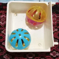 قفس خوکچه و خرگوش|لوازم جانبی حیوانات|تهران, سبلان (لشگر)|دیوار