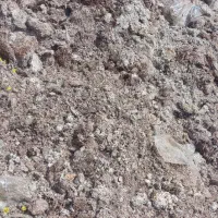 کود کمپوست قارچ