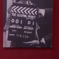 دعوت هنرجوی بازیگری و مدلینگ با شرایط ویژه و عالی