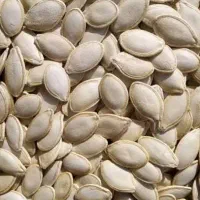 تخمه کدو خوی