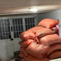 لوبیا قرمز درجه یک بوجاری شده