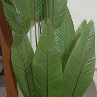 درخت چه|گل مصنوعی|زابل, |دیوار