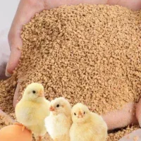 جیره تخصصی طیور و دان غاز/ اردک