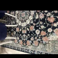 1 عدد فرش مشهد 6 متری