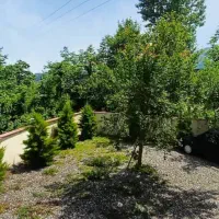 خانه های چوبی (امیرکبیر)