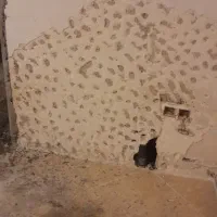 کلیه خدمات گچکاری  کاشی سرامیک کناف|خدمات پیشه و مهارت|کیش, |دیوار