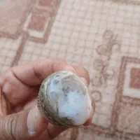 فروش انگشتر|بدلیجات|میناب, |دیوار