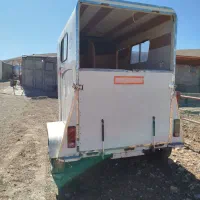 اسبکش|اسب و تجهیزات اسبسواری|کرمانشاه, |دیوار