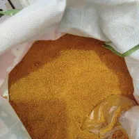 کشک زرد