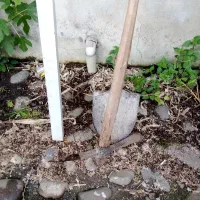 یک عدد بیل ویک گولنگ دو عدد شمشی