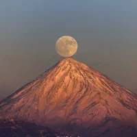 کد دعوت ملی گلد